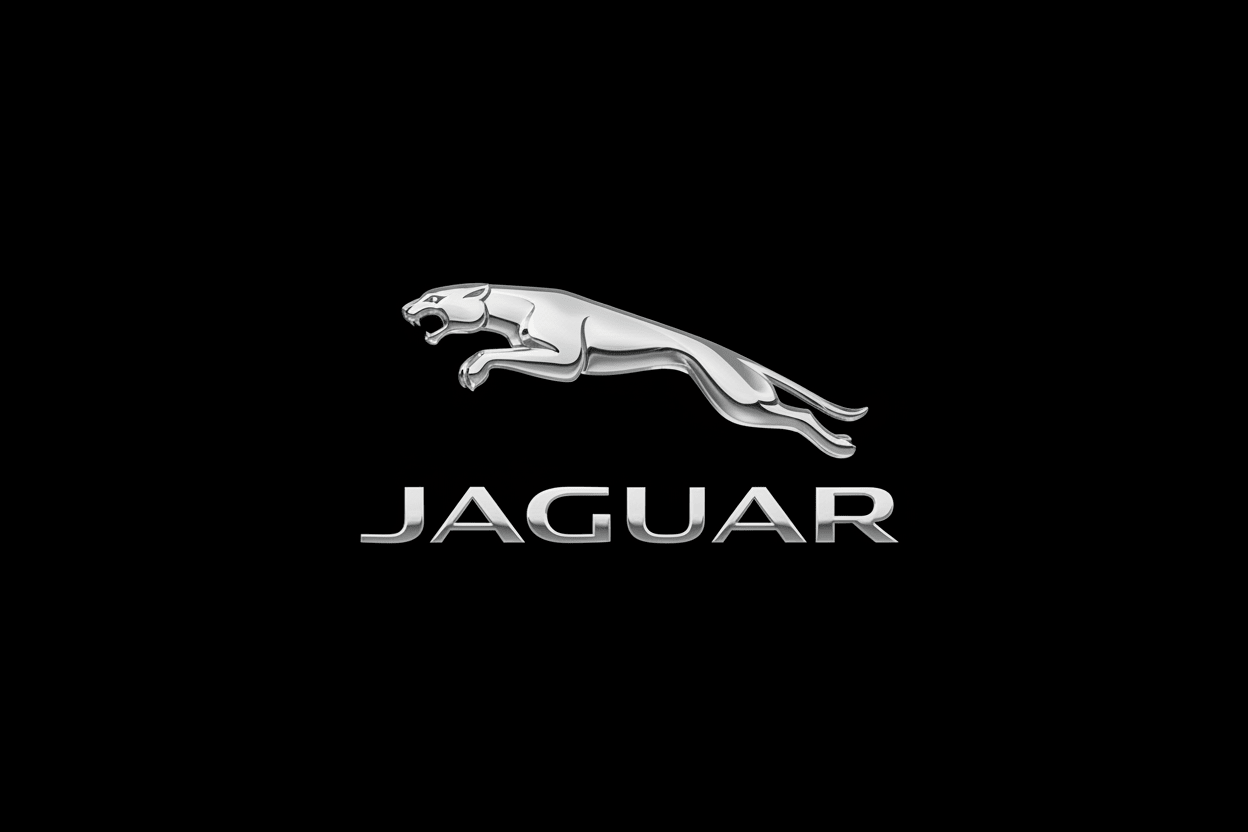 Jaguar - Fast Life Customs